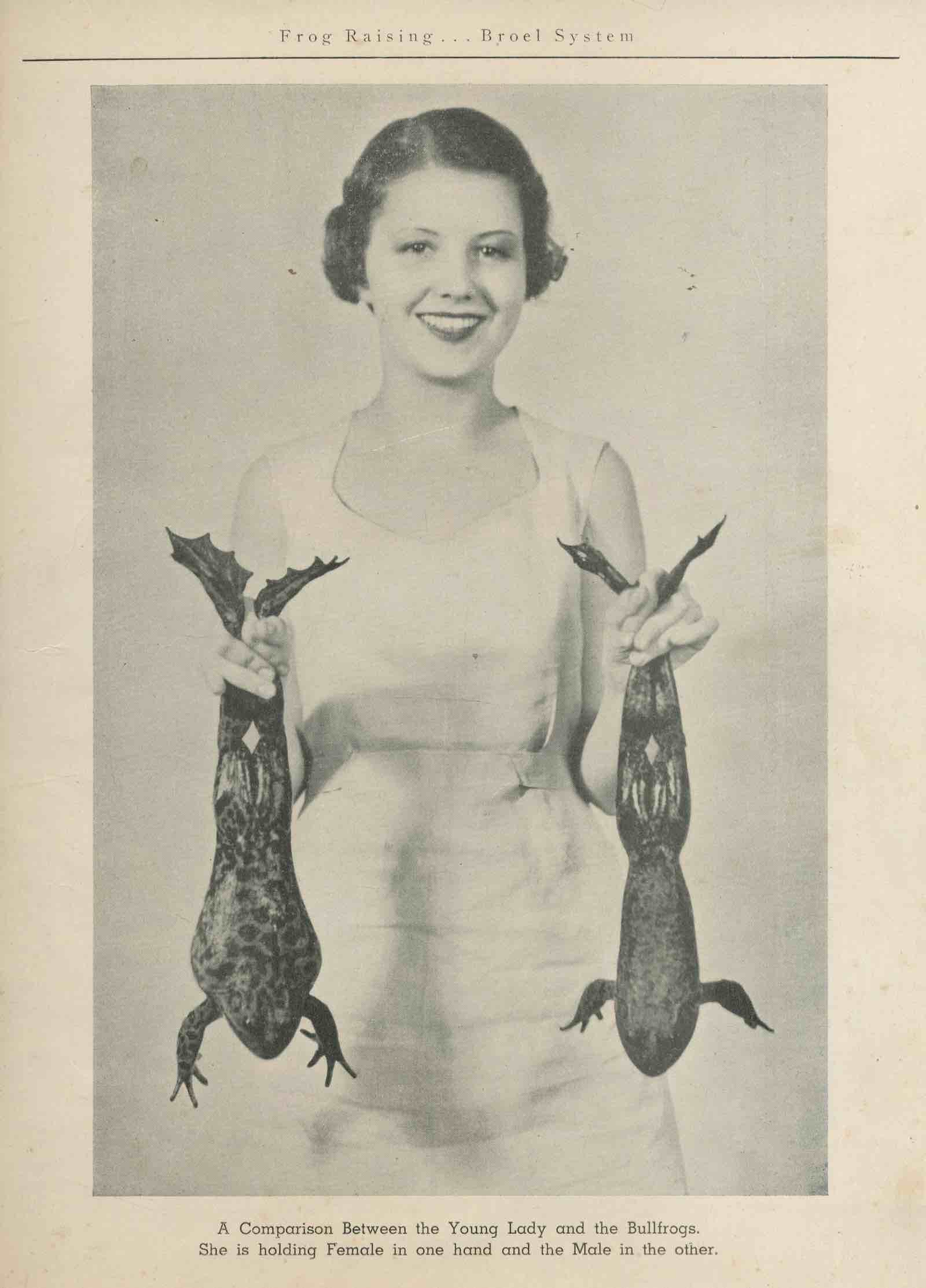 fish book