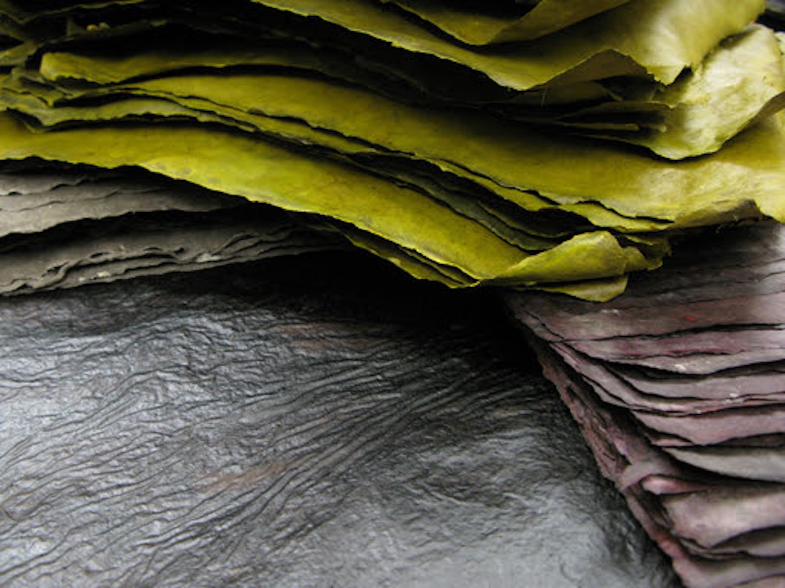 Mary Hark’s handmade papers transform ordinary materials