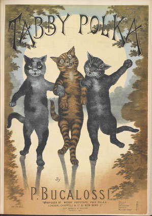 cat poster