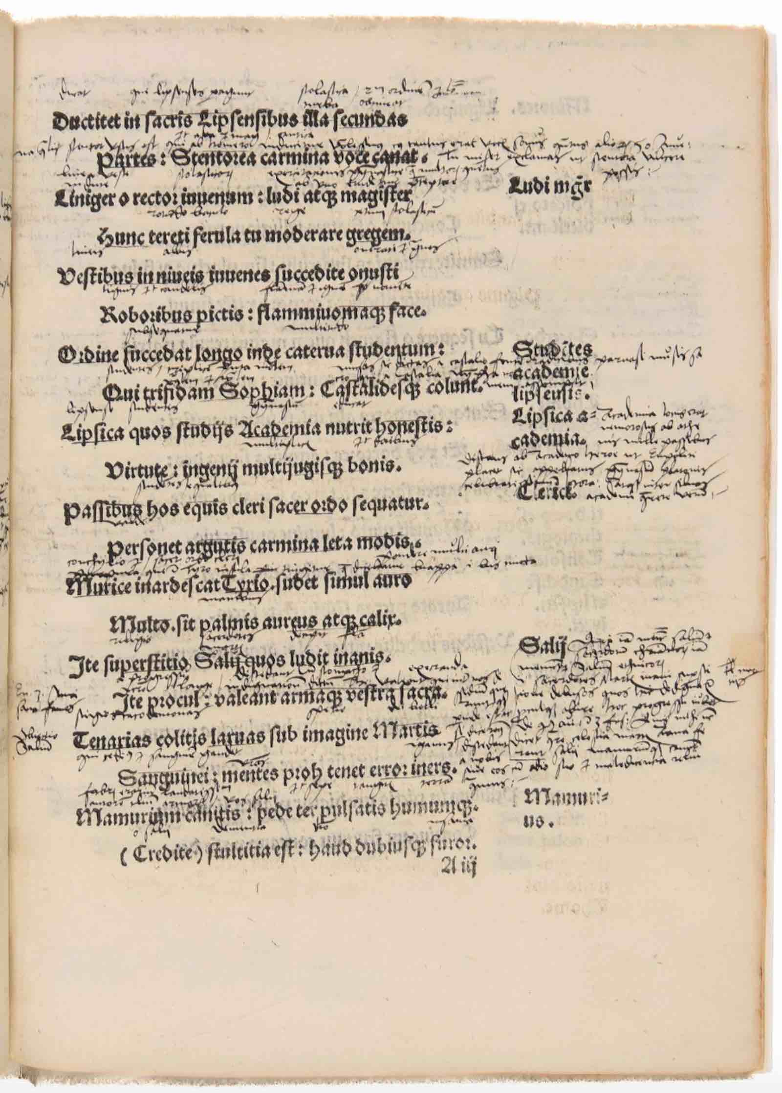 Carmen ad gravem by Johannes Tuberinus