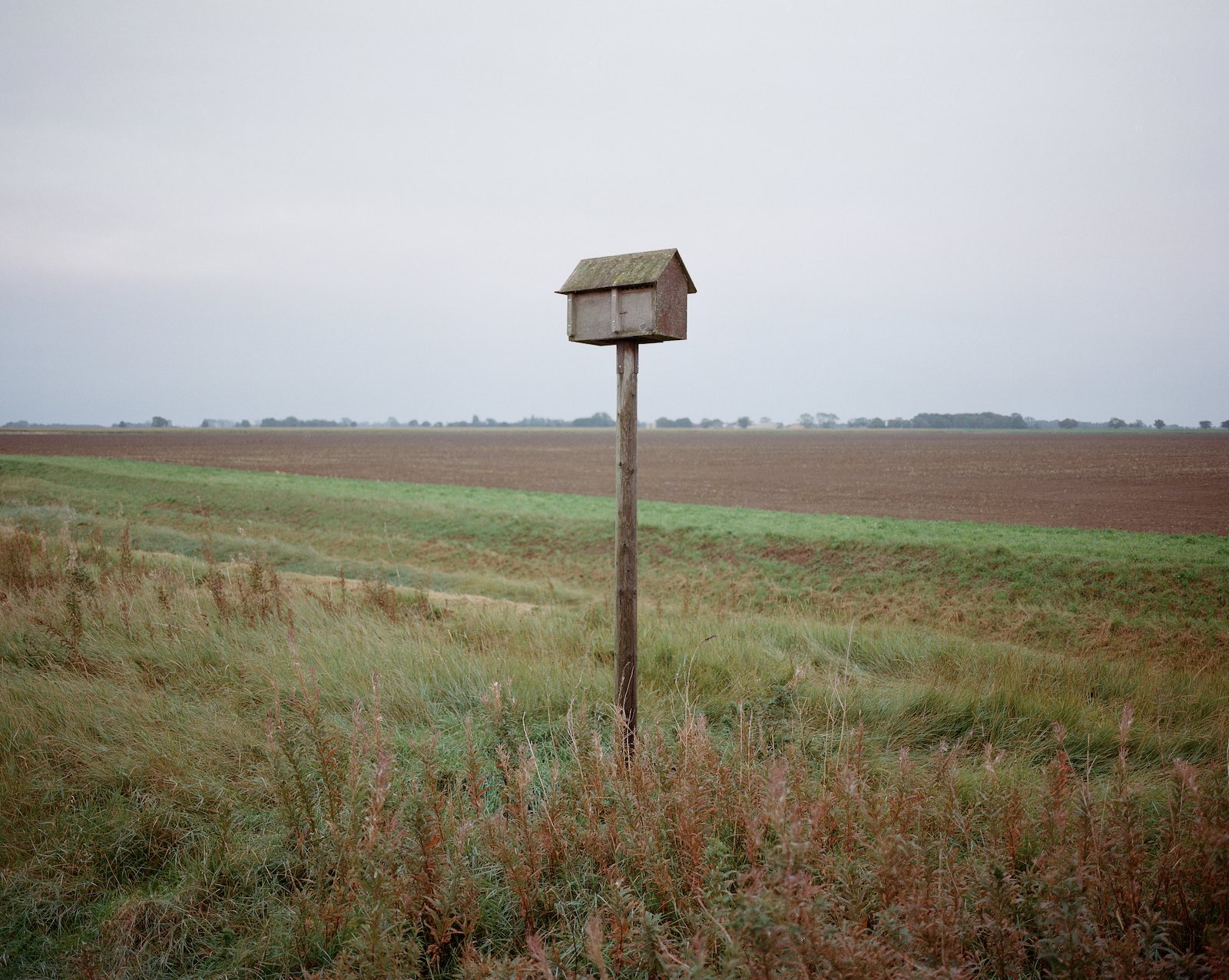 With a farming landscape devoid of trees, birds are encouraged to nest in somewhat artificial homes