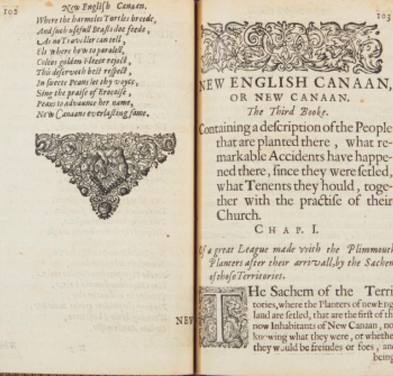 New English Canaan