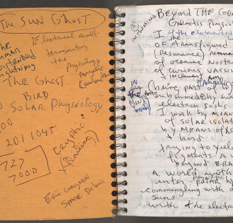 Will Alexander, notebook