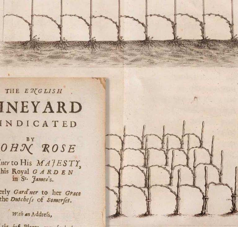 The English Vineyard Vindicated… by John Evelyn and John Rose