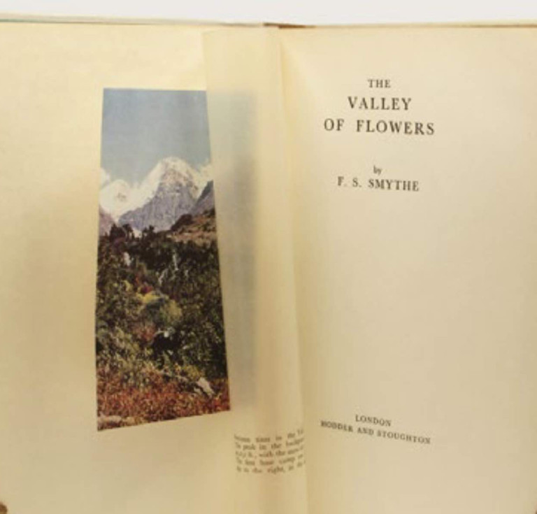 The Valley of Flowers